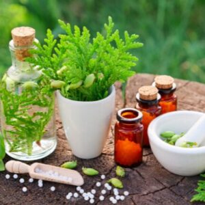 Formation complète en naturopathie : 8 modules pour maîtriser les bases du bien-être naturel - accès à vie