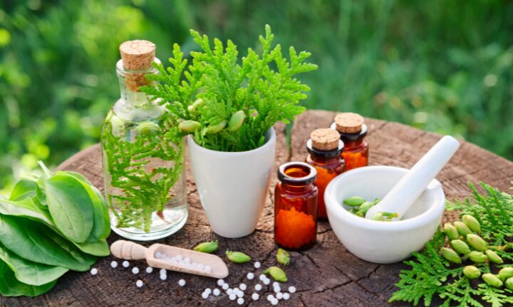 Formation complète en naturopathie : 8 modules pour maîtriser les bases du bien-être naturel - accès à vie