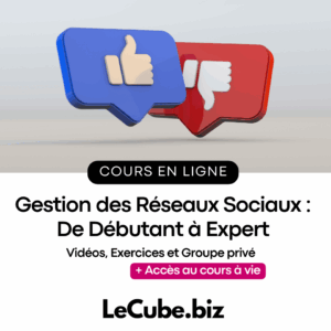 Gestion des Réseaux Sociaux : De Débutant à Expert