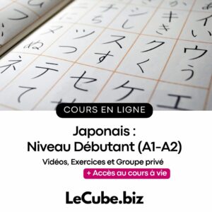 Japonais : Niveau Débutant (A1-A2)