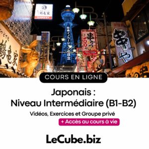 Japonais : Niveau Intermédiaire (B1-B2)