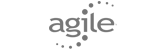 agile